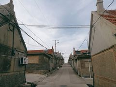 -烟墩角天鹅湖