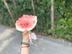 -前小桔亲子创意农场·草莓采摘·露营烧烤