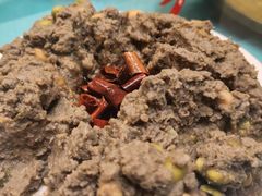 -大顺堂食府(牛街店)
