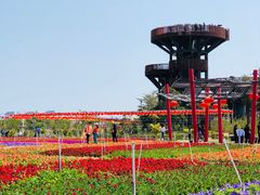 -芒洲湿地公园