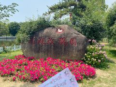 -鹅湖玫瑰文化园