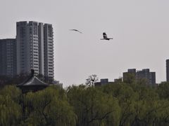 -迎泽公园