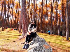 -硗碛藏寨·神木垒景区