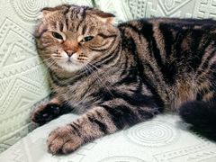 -新新潘晓婷台球俱乐部(周浦店)