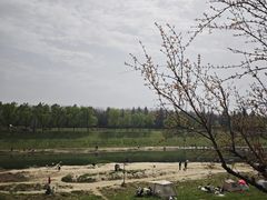 -洨河生态公园