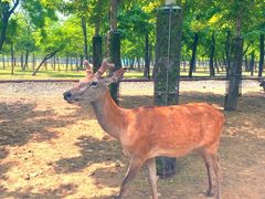 -秦皇岛野生动物园