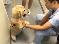 -爱诺耐芙动物医院(万博店)