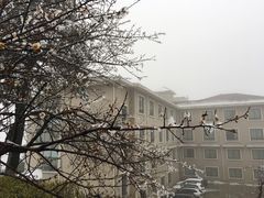 -江南天池