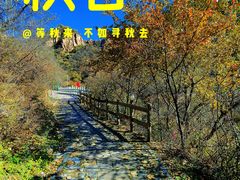 -大岭沟猕猴桃谷风景区