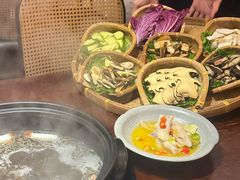 -滇野云南野生菌餐厅(陕西南路店)