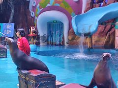 -烟台海昌鲸鲨海洋公园