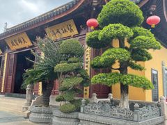 -西林禅寺