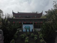 -盛世牡丹苑生态文化旅游区