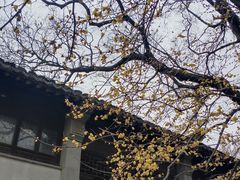 -惠山古镇·寄畅园