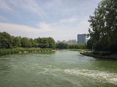 -滨湖塘西河公园