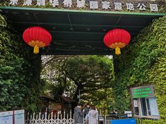 -华侨城湿地公园