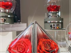 -ROSEONLY诺誓(青岛万象城店)