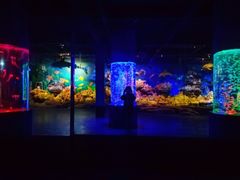 -北海·海洋之窗