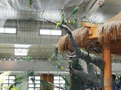 -南宫五洲植物乐园