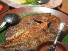 -花马天堂云南餐厅 Lost Heaven(外滩店)