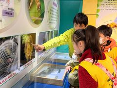 -上海昆虫博物馆