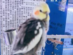 -山东柏宁水族批发广场