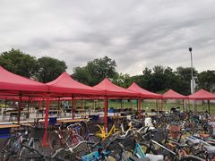 -北京大学-学五食堂