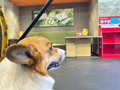 -海底捞火锅(亲子主题北金鹰店)