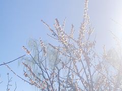 -万柳阁小馆·花园餐厅(龙潭湖店)