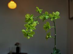 -知亘茶食