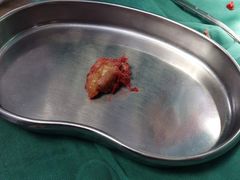 -爱侣宠医·鹦鹉专科·小型哺乳类·异宠专科(灵石路店)