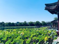 -管氏翅吧(地安门创始店)