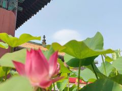 -普陀宗乘之庙(小布达拉宫)