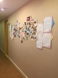 -海豚湾高端月子会所(黄浦店)