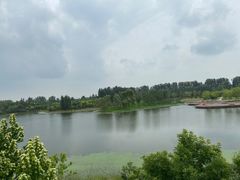 -东郊湿地公园