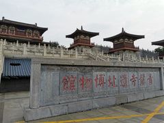 -西安乐游原