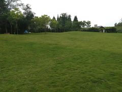 -黄海国家森林公园