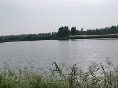 -东郊湿地公园