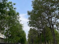 -马家湾湿地公园