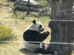 -无锡动物园·太湖欢乐园