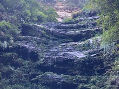 -碧峰峡风景区