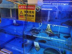 -三子烤羊腿·海鲜(弘阳店)