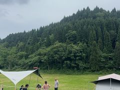 -武陵山森林公园