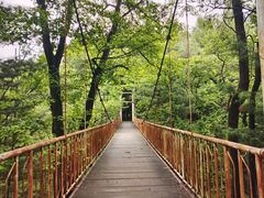 -帽儿山国家森林公园