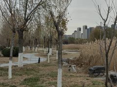 -水西公园