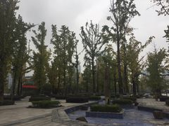 -百林公园-两江幸福广场