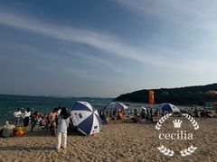 -大梅沙海滨公园