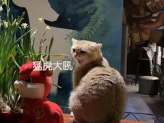 -咖法森林·咖啡  酒吧(天河店)