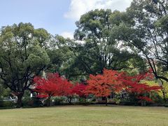 -申粤轩酒楼·三十年粤菜经典(丁香花园店)