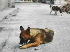 -安庆柴火馄饨(马道街店)